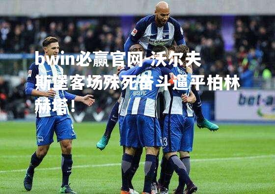 bwin必赢官网-沃尔夫斯堡客场殊死奋斗逼平柏林赫塔！