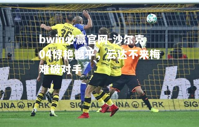 bwin必赢官网-沙尔克04惊艳憾平，云达不来梅难破对手