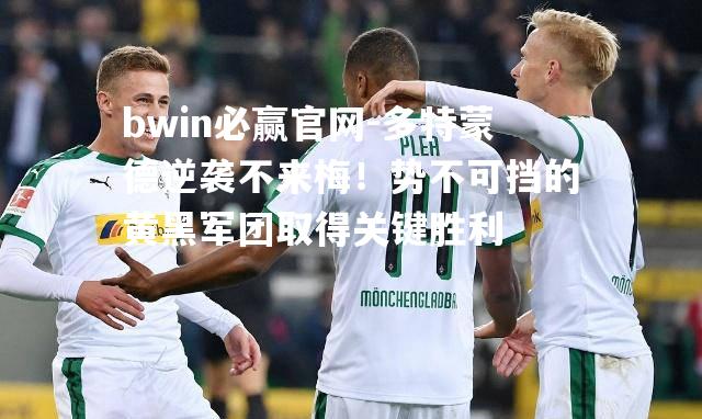 bwin必赢官网-多特蒙德逆袭不来梅！势不可挡的黄黑军团取得关键胜利
