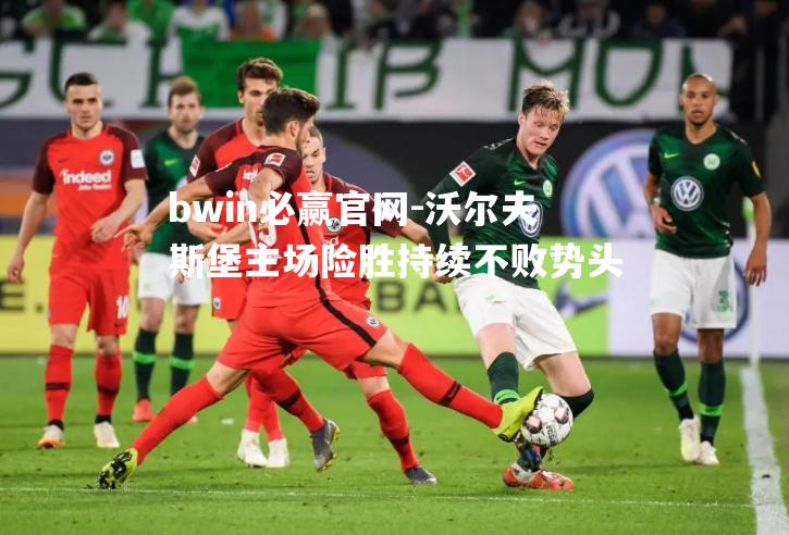 bwin必赢官网-沃尔夫斯堡主场险胜持续不败势头