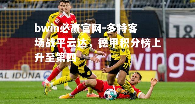 多特客场战平云达，德甲积分榜上升至第四