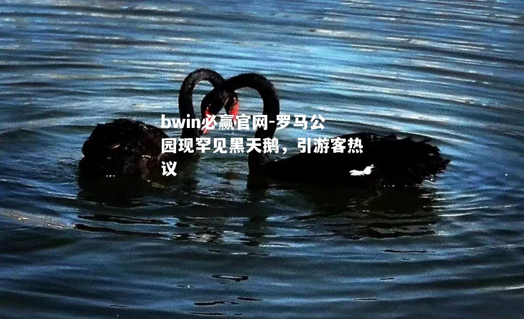 罗马公园现罕见黑天鹅，引游客热议