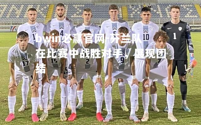 bwin必赢官网-芬兰队在比赛中战胜对手，展现团结