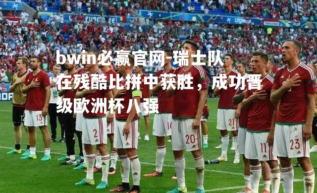 bwin必赢官网-瑞士队在残酷比拼中获胜，成功晋级欧洲杯八强