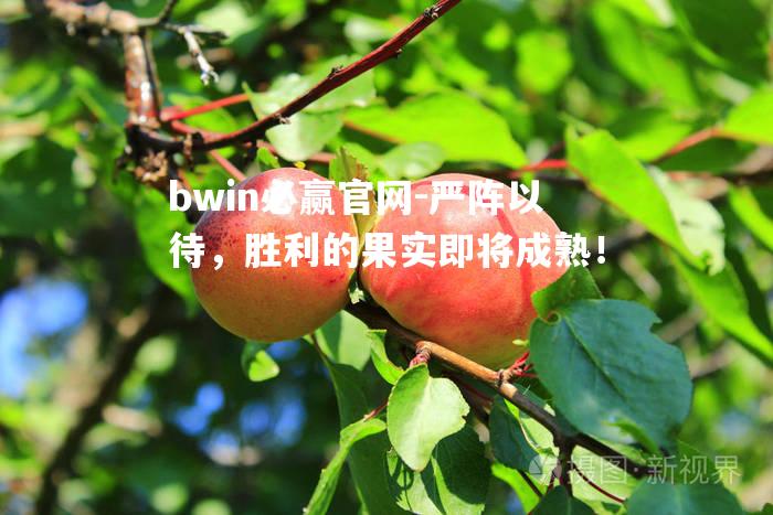 bwin必赢官网-严阵以待，胜利的果实即将成熟！