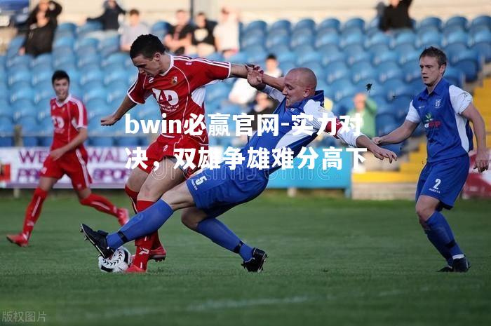 bwin必赢官网-实力对决，双雄争雄难分高下