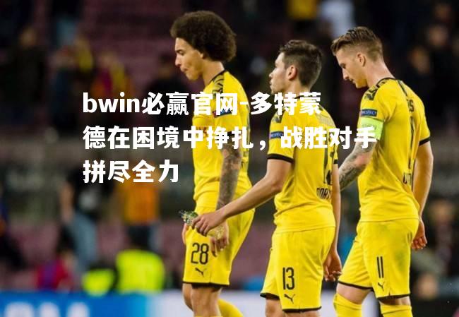 bwin必赢官网-多特蒙德在困境中挣扎，战胜对手拼尽全力
