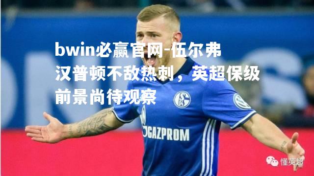 bwin必赢官网-伍尔弗汉普顿不敌热刺，英超保级前景尚待观察