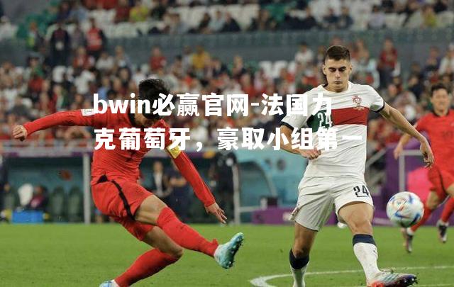 bwin必赢官网-法国力克葡萄牙，豪取小组第一