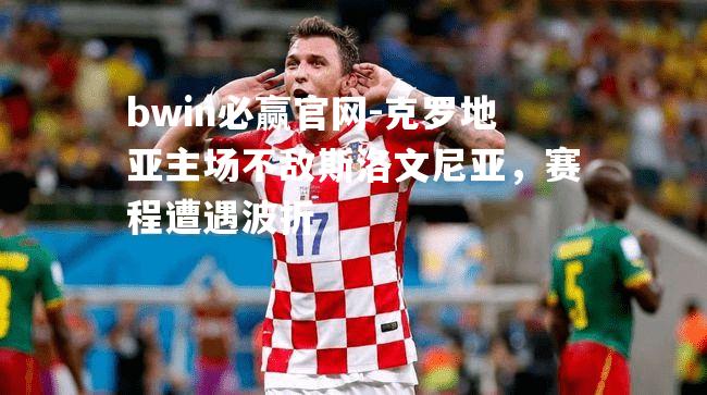 bwin必赢官网-克罗地亚主场不敌斯洛文尼亚，赛程遭遇波折