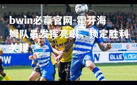 bwin必赢官网-霍芬海姆队员发挥亮眼，锁定胜利关键