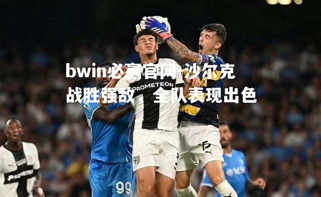 bwin必赢官网-沙尔克战胜强敌，全队表现出色