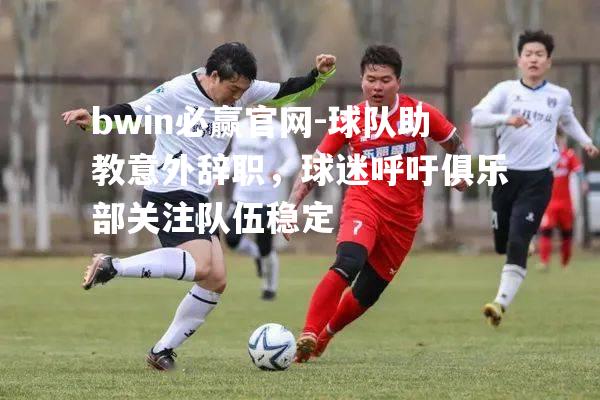 球队助教意外辞职，球迷呼吁俱乐部关注队伍稳定