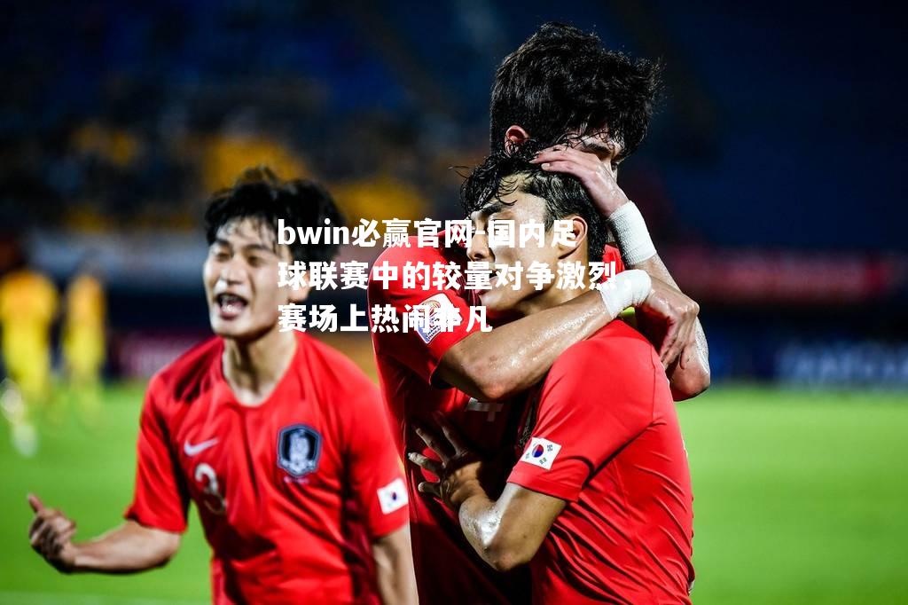 bwin必赢官网-国内足球联赛中的较量对争激烈，赛场上热闹非凡