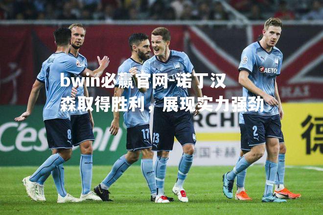 bwin必赢官网-诺丁汉森取得胜利，展现实力强劲
