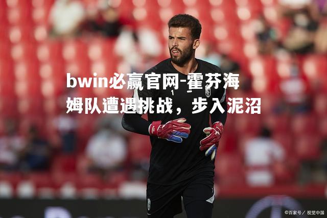 bwin必赢官网-霍芬海姆队遭遇挑战，步入泥沼