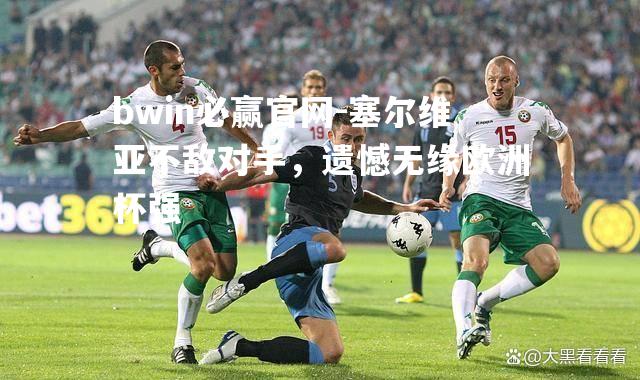 bwin必赢官网-塞尔维亚不敌对手，遗憾无缘欧洲杯强