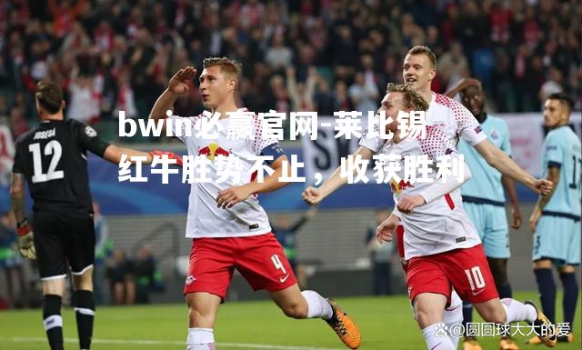 bwin必赢官网-莱比锡红牛胜势不止，收获胜利