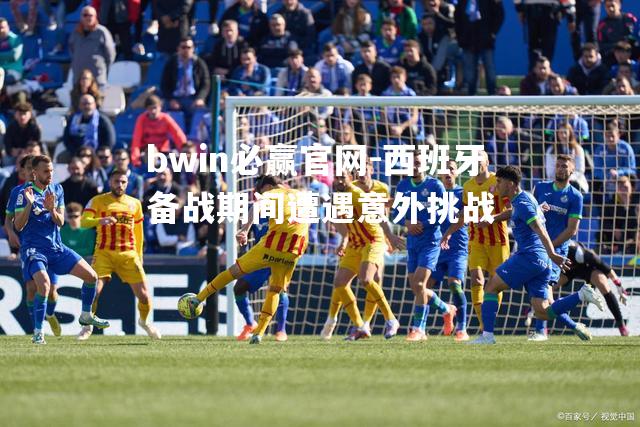 bwin必赢官网-西班牙备战期间遭遇意外挑战