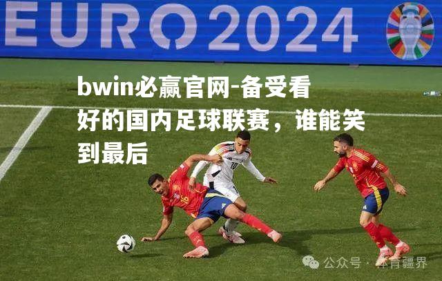 bwin必赢官网-备受看好的国内足球联赛，谁能笑到最后