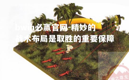 bwin必赢官网-精妙的战术布局是取胜的重要保障