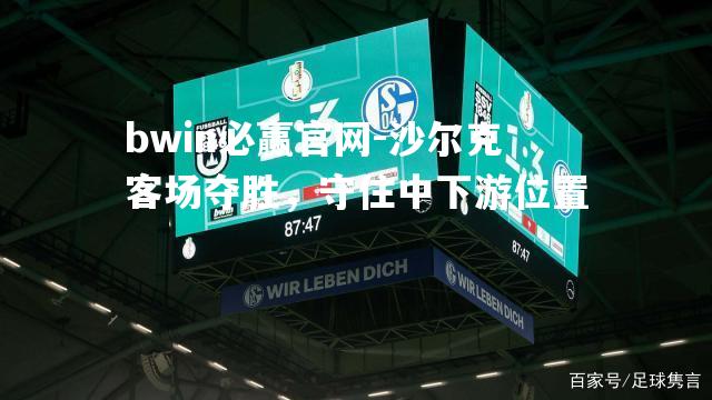 bwin必赢官网-沙尔克客场夺胜，守住中下游位置