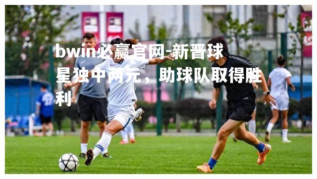bwin必赢官网-新晋球星独中两元，助球队取得胜利