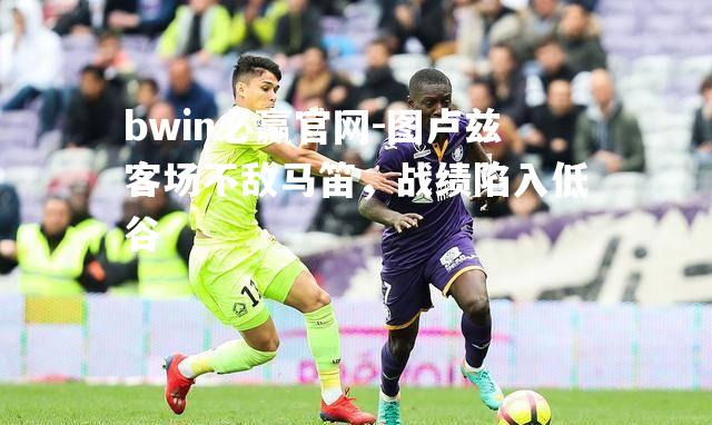 bwin必赢官网-图卢兹客场不敌马笛，战绩陷入低谷