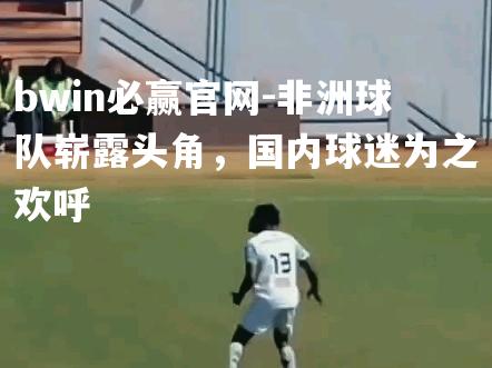 bwin必赢官网-非洲球队崭露头角，国内球迷为之欢呼