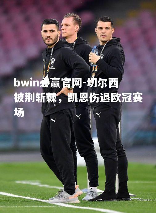 bwin必赢官网-切尔西披荆斩棘，凯恩伤退欧冠赛场