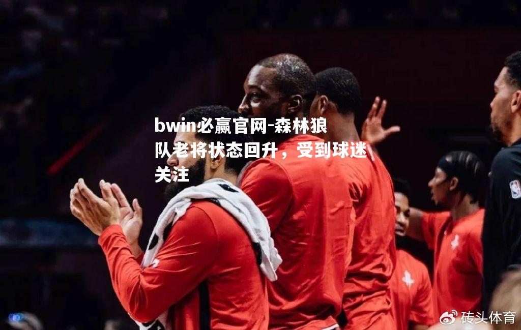 森林狼队老将状态回升，受到球迷关注