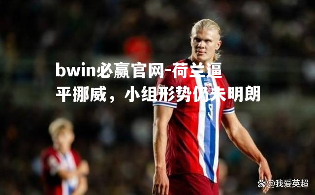 bwin必赢官网-荷兰逼平挪威，小组形势仍未明朗