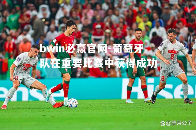 bwin必赢官网-葡萄牙队在重要比赛中获得成功