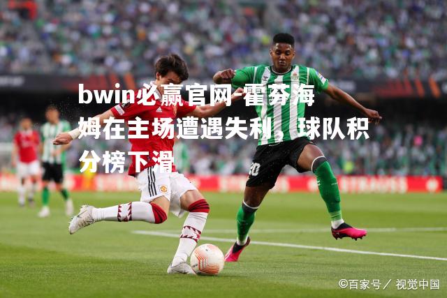 bwin必赢官网-霍芬海姆在主场遭遇失利，球队积分榜下滑