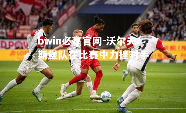 bwin必赢官网-沃尔夫斯堡队在比赛中力挫对手