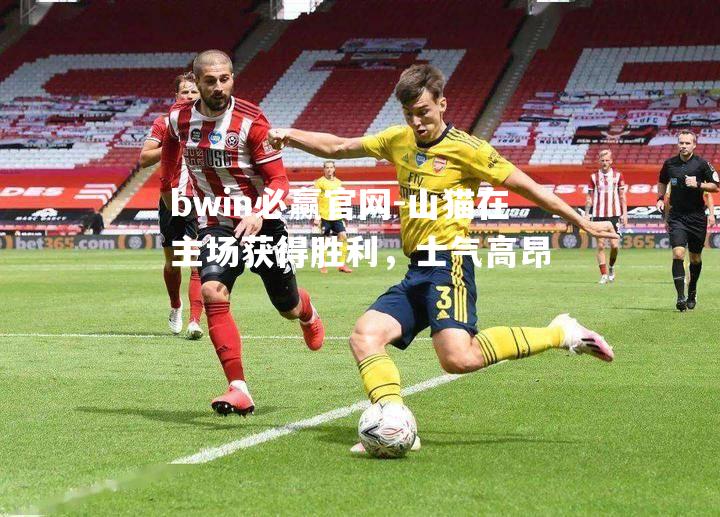 bwin必赢官网-山猫在主场获得胜利，士气高昂