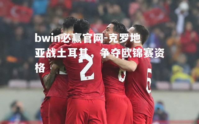 bwin必赢官网-克罗地亚战土耳其，争夺欧锦赛资格