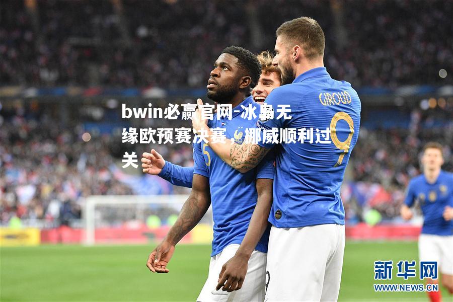 冰岛无缘欧预赛决赛，挪威顺利过关