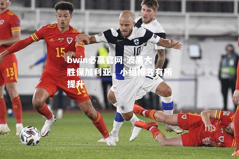 波黑大胜保加利亚，小组排名有所提升
