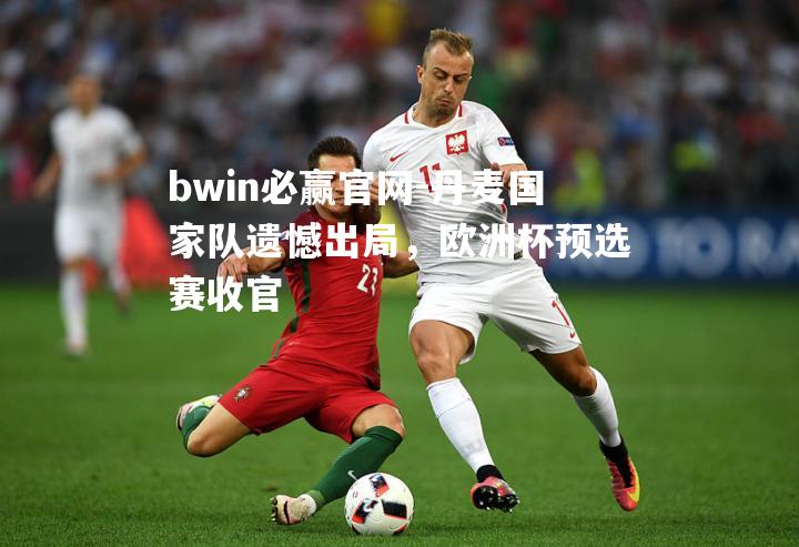 bwin必赢官网-丹麦国家队遗憾出局，欧洲杯预选赛收官