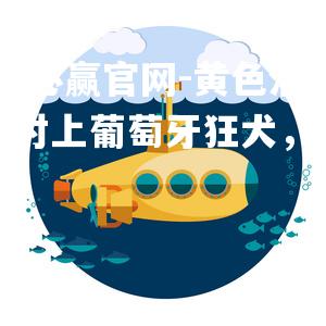 bwin必赢官网-黄色潜水艇对上葡萄牙狂犬，力保不败