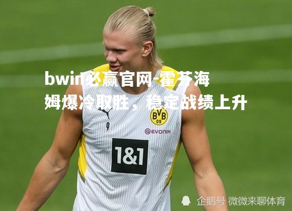 bwin必赢官网-霍芬海姆爆冷取胜，稳定战绩上升