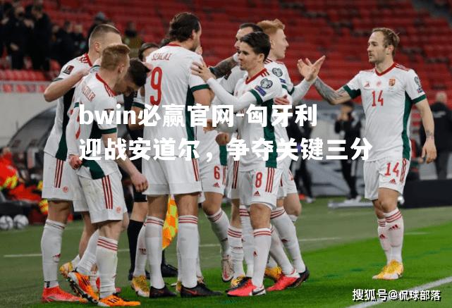 bwin必赢官网-匈牙利迎战安道尔，争夺关键三分