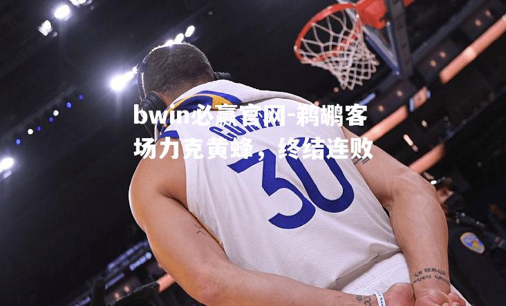 bwin必赢官网-鹈鹕客场力克黄蜂，终结连败