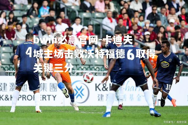 bwin必赢官网-卡迪夫城主场击败沃特福德，取得关键三分