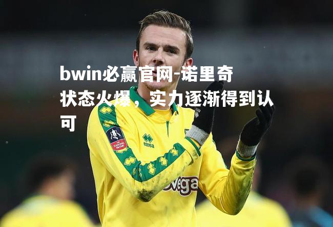 bwin必赢官网-诺里奇状态火爆，实力逐渐得到认可
