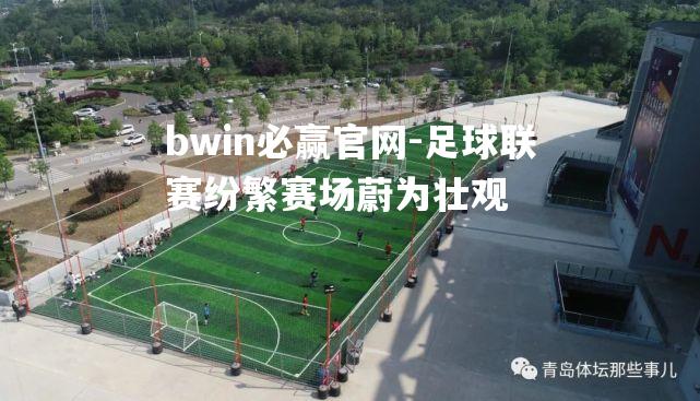 bwin必赢官网-足球联赛纷繁赛场蔚为壮观